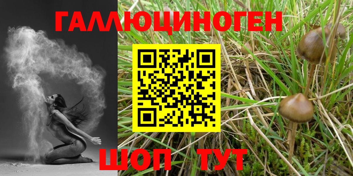Ипатово  хочу   Вход с VPN  Галлюциногенные грибы прущие грибы 